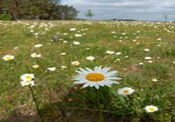 Ökokonto